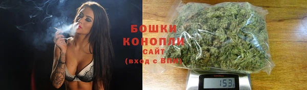 шишки Аркадак